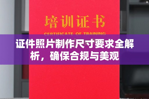 阜城证件照片制作尺寸要求全解析，确保合规与美观